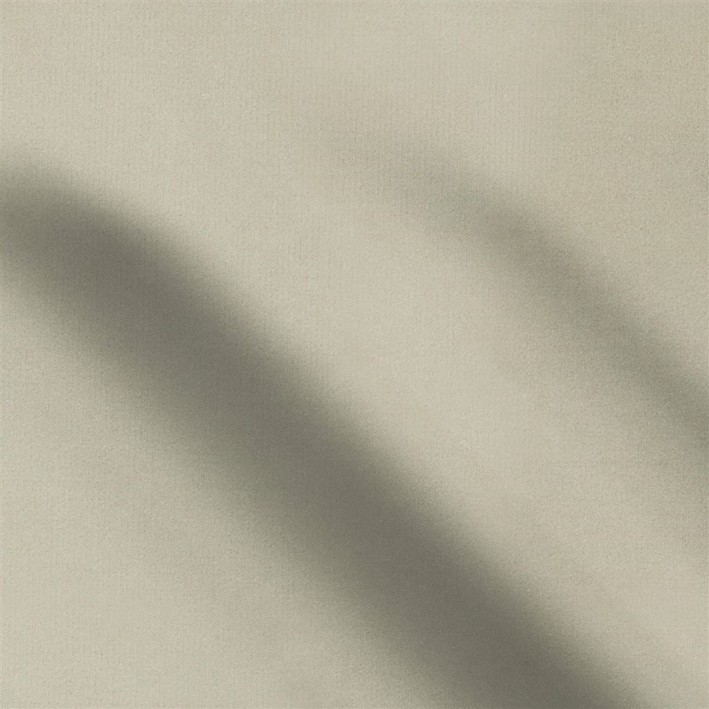 cassia - dove