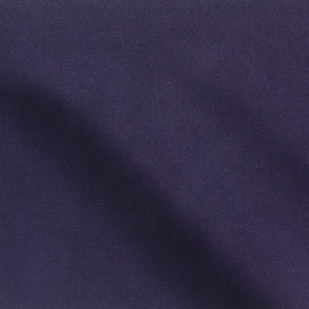 cassia - aubergine