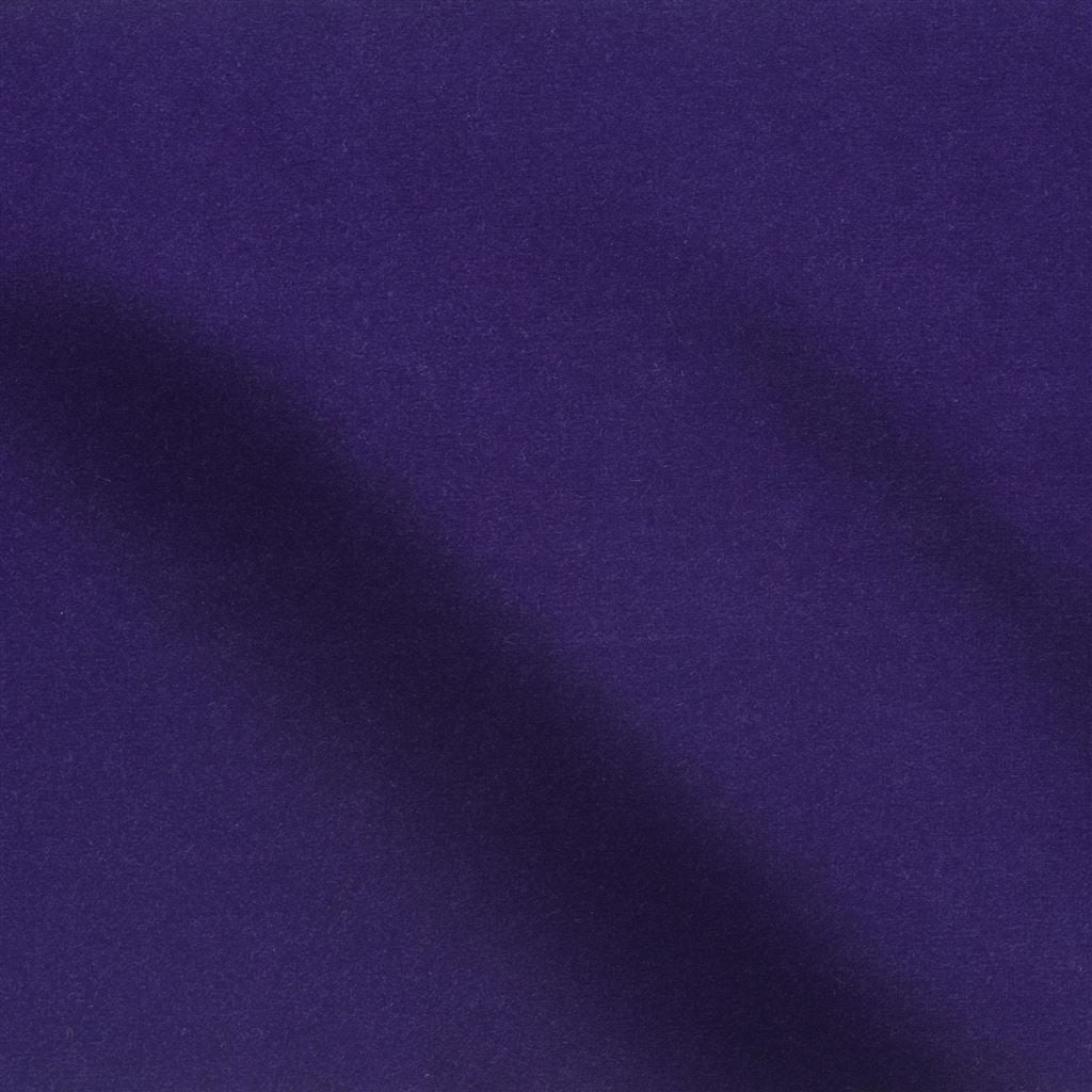 cassia - violet