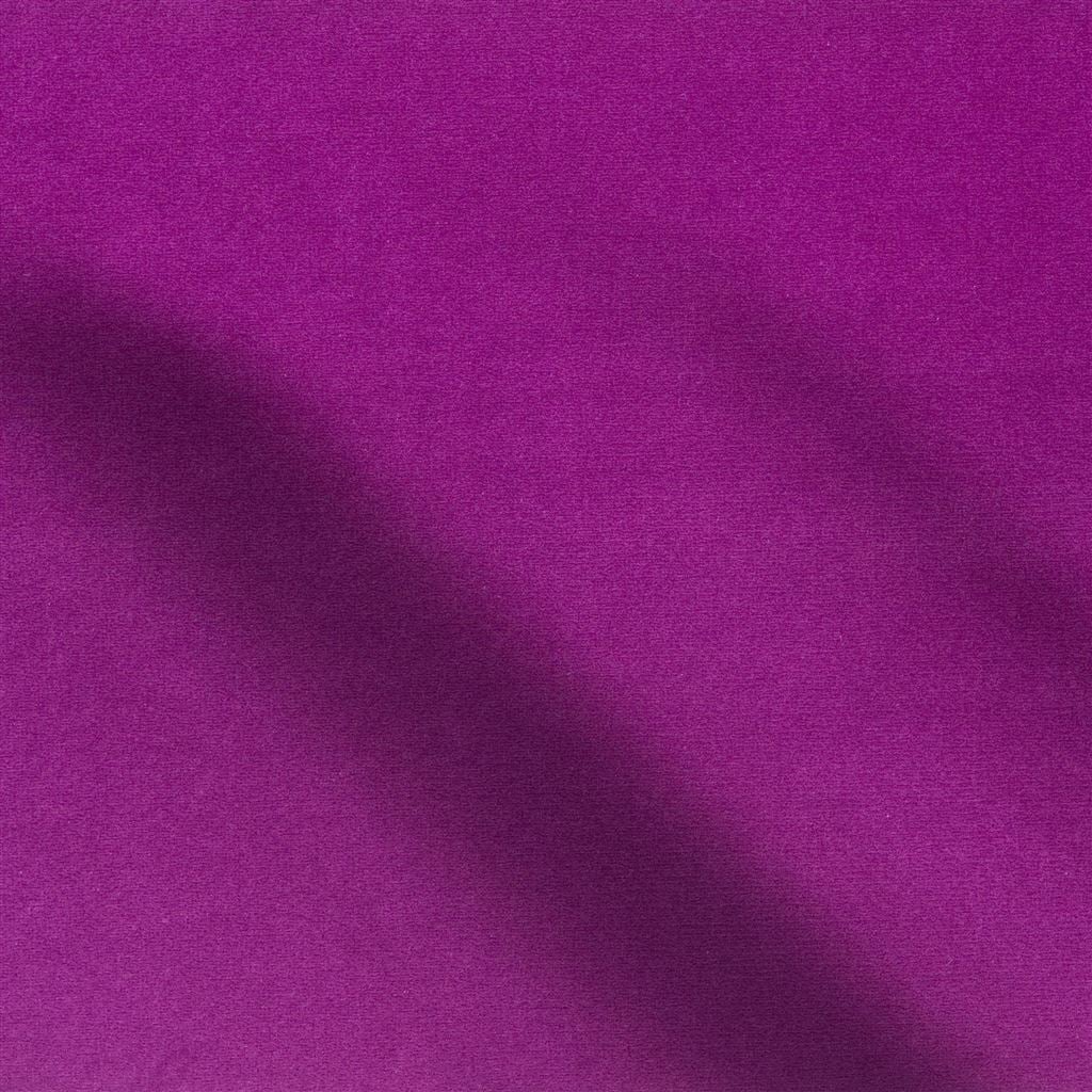 cassia - damson