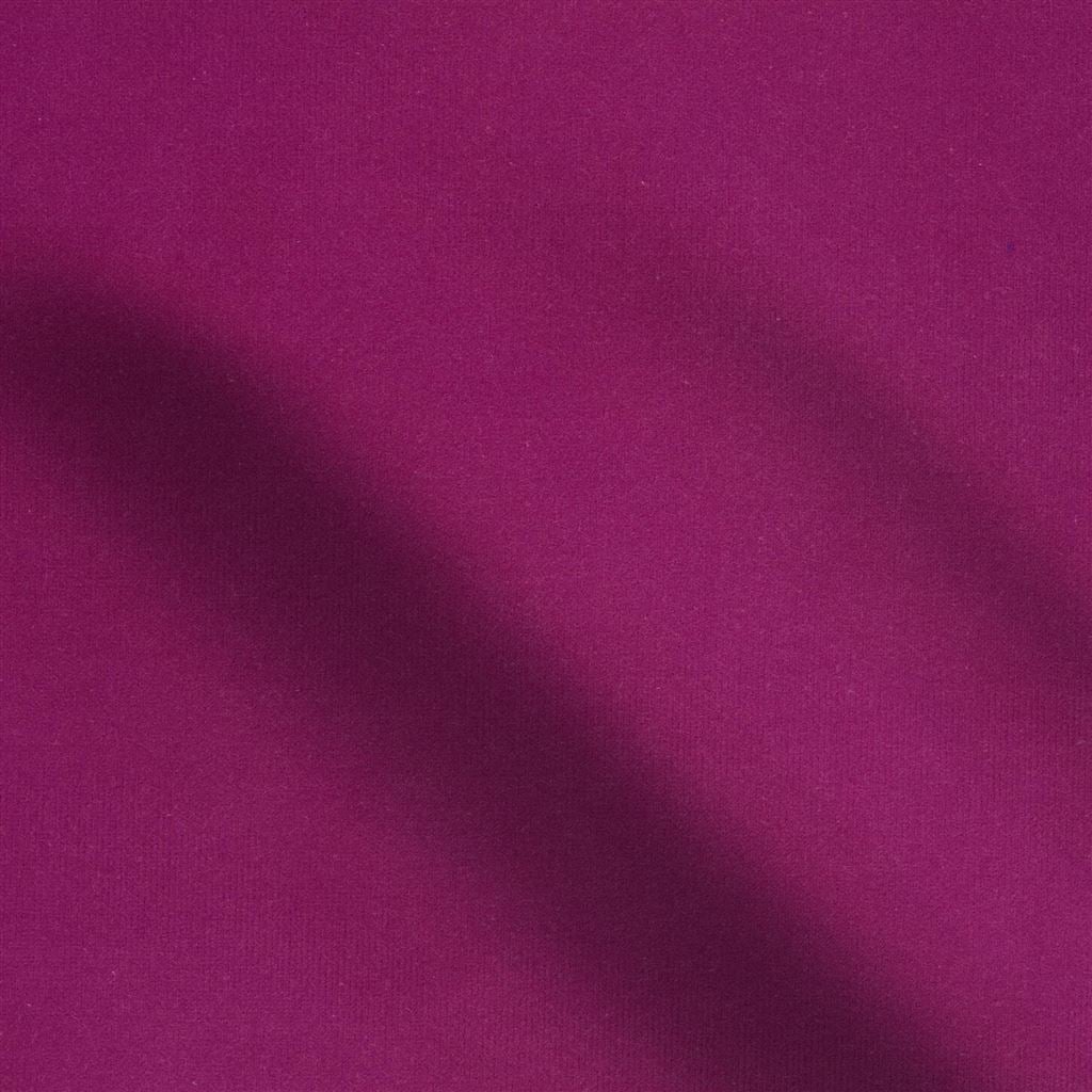cassia - magenta