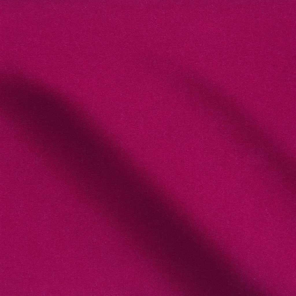 cassia - fuchsia