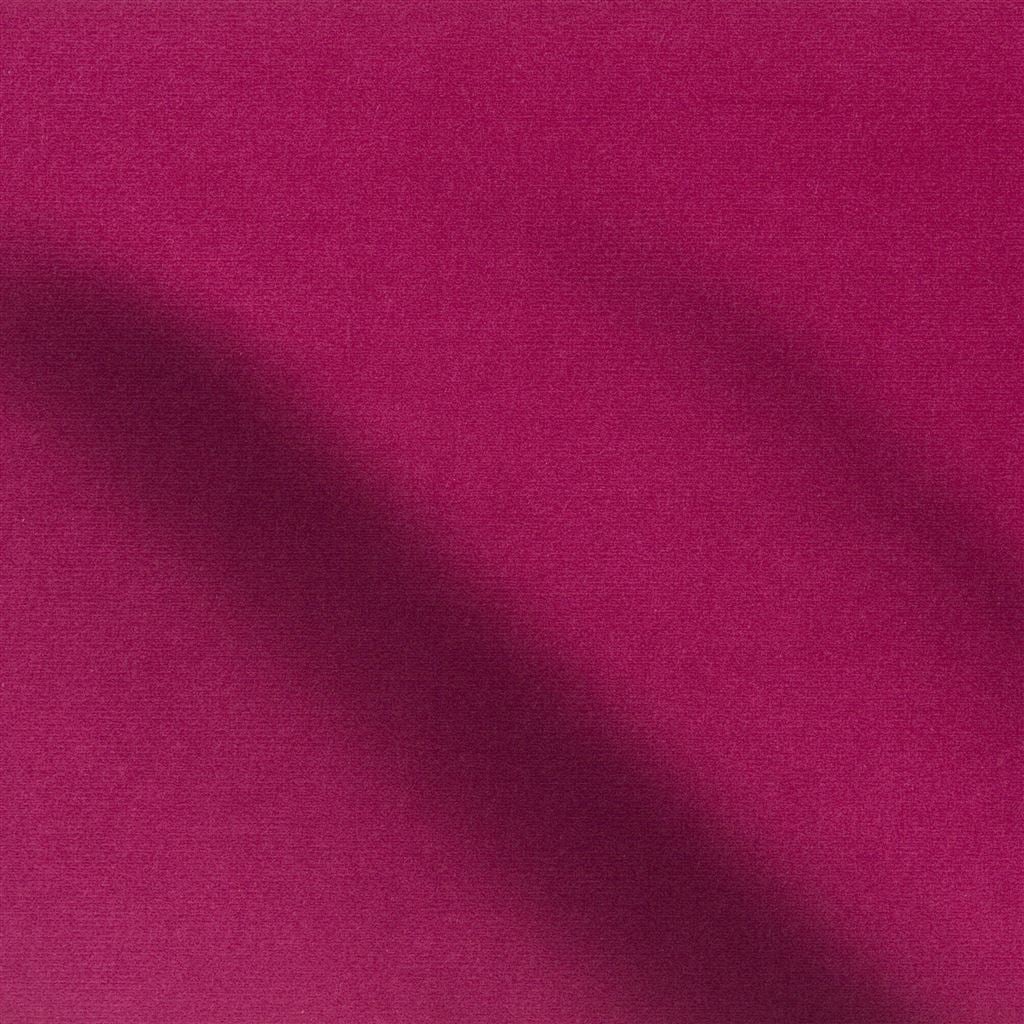 cassia - currant
