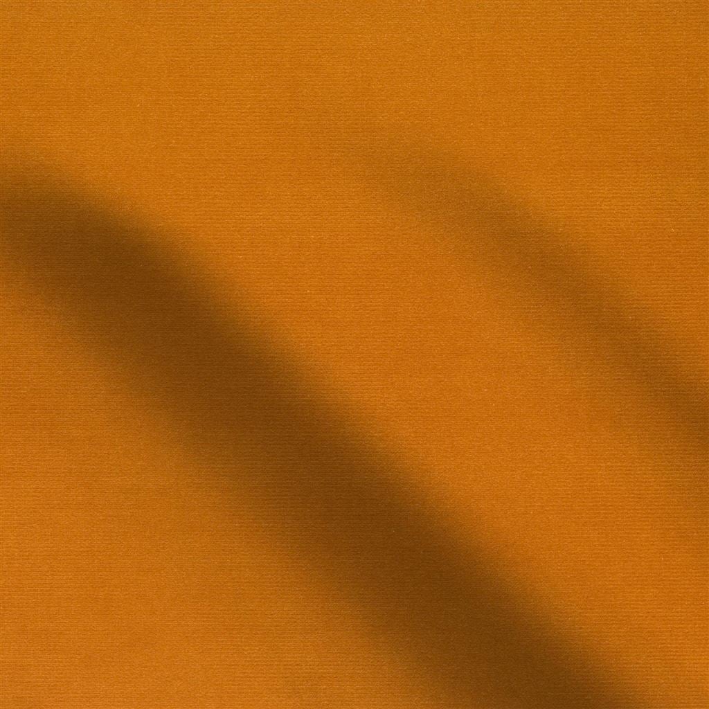 cassia - saffron