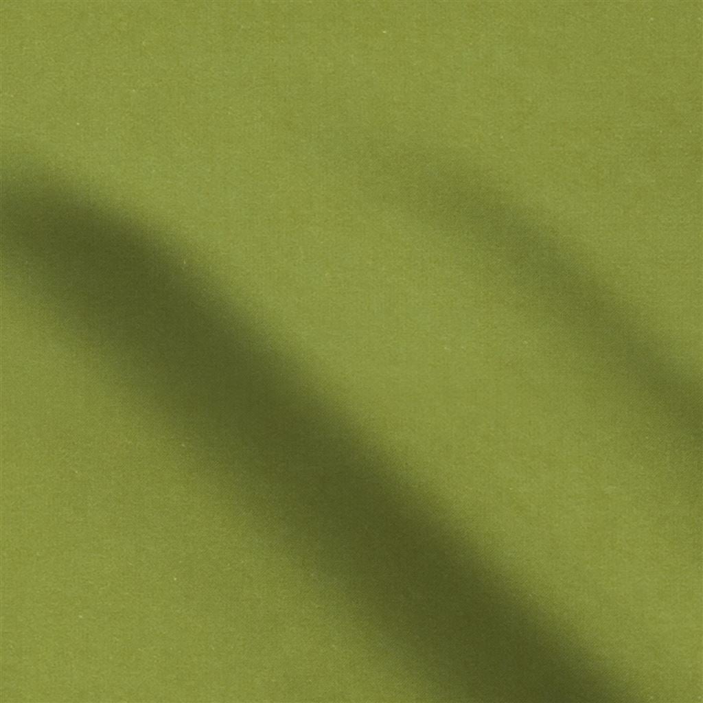 cassia - apple