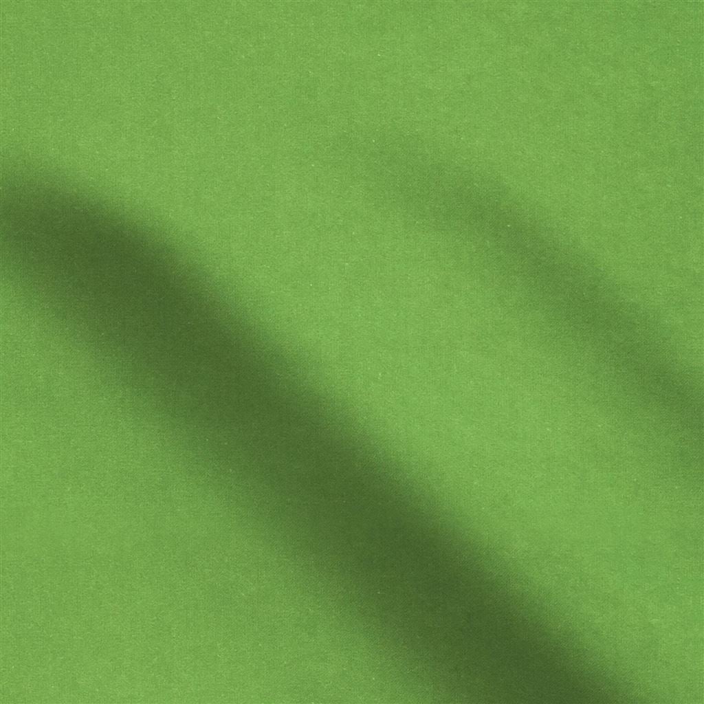 cassia - grass