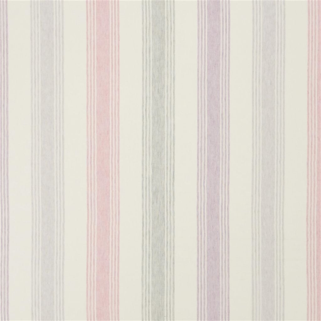 Lavandou - Pale Rose Cutting