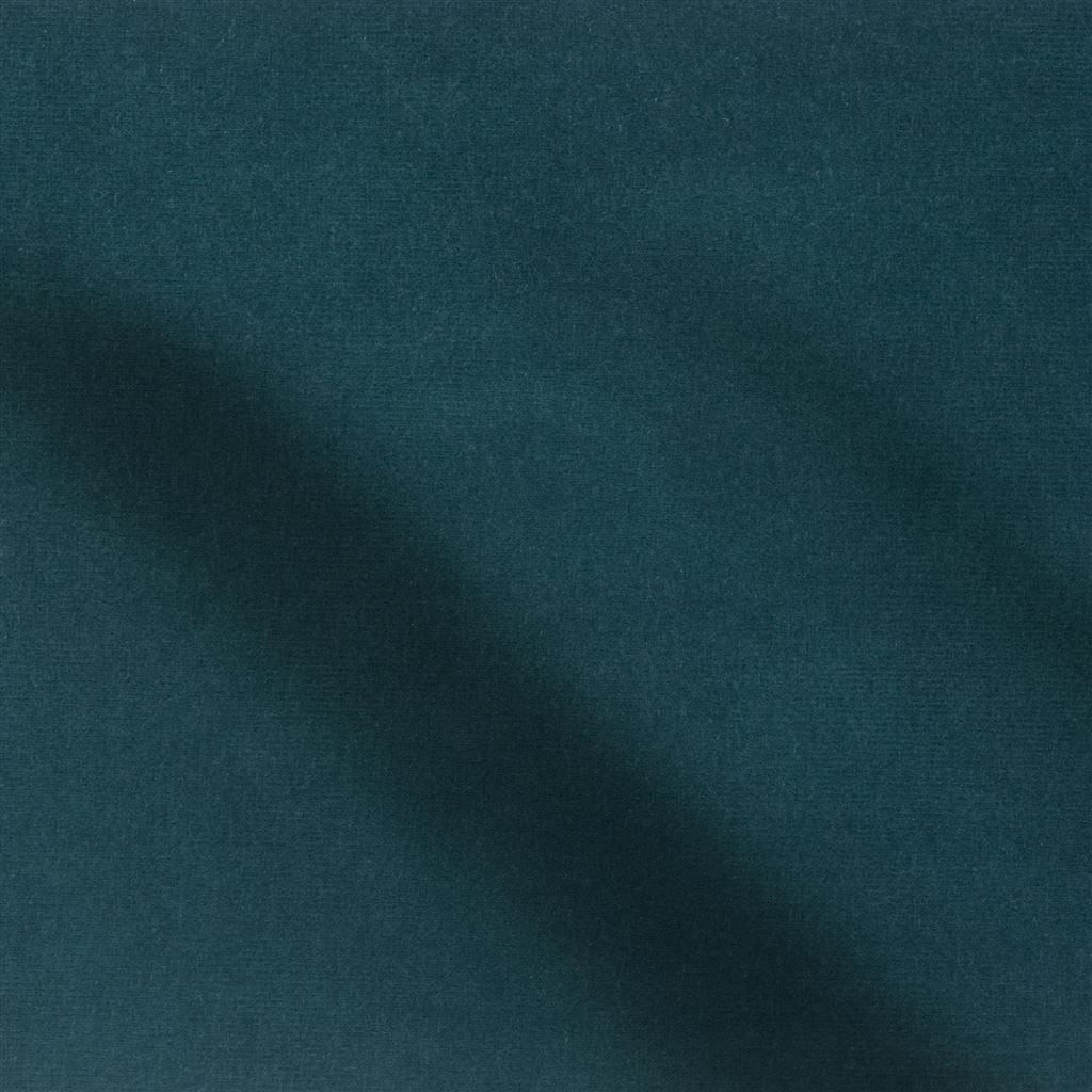 cassia - kingfisher