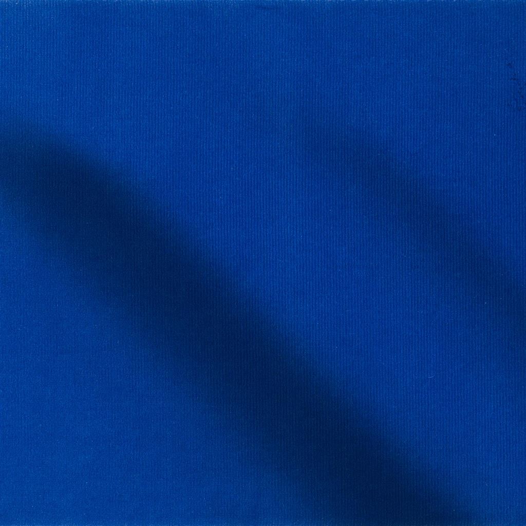 cassia - cobalt