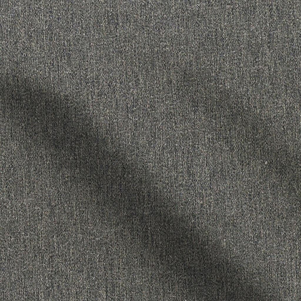 savanna - carbon