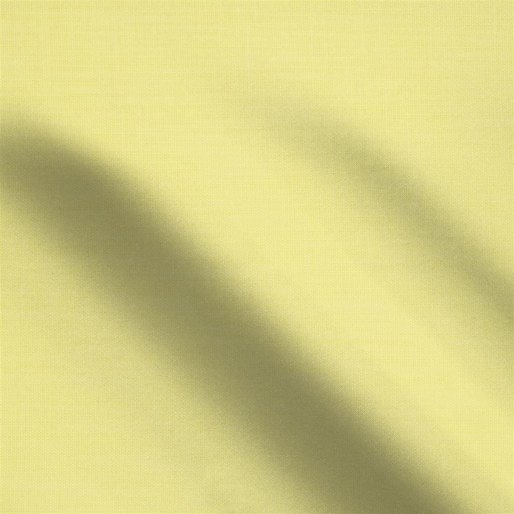 orba - primrose