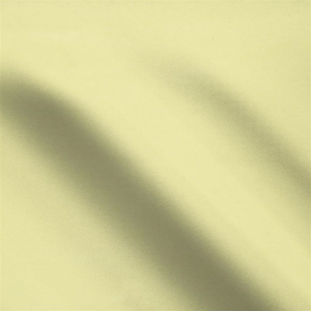 aquarelle - citrus