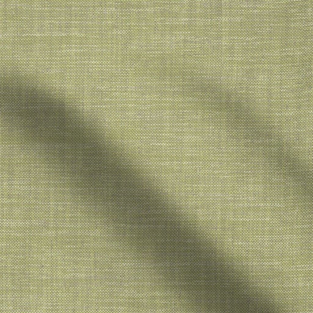 cosia - olive