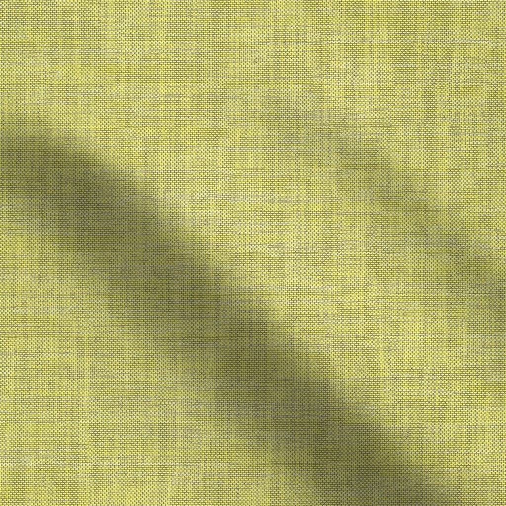 cosia - lime