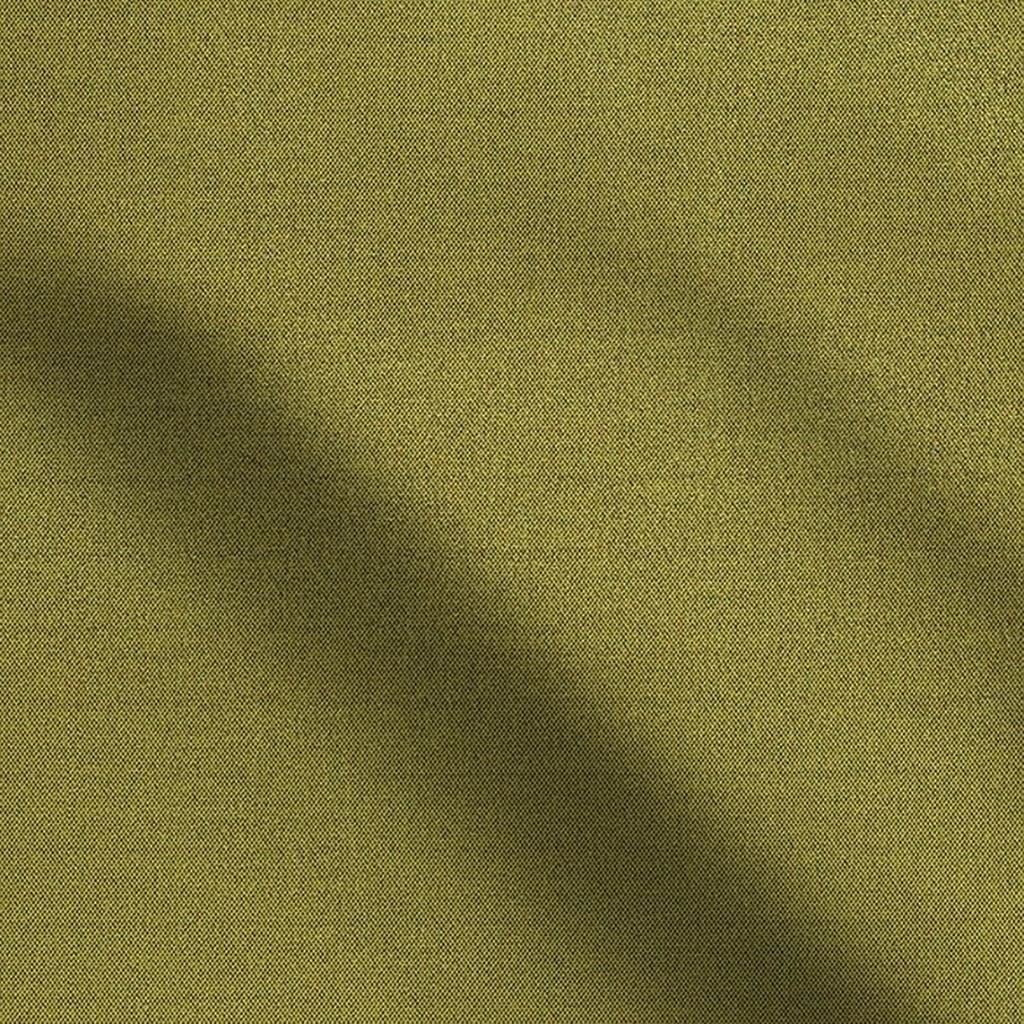 sahara - fern