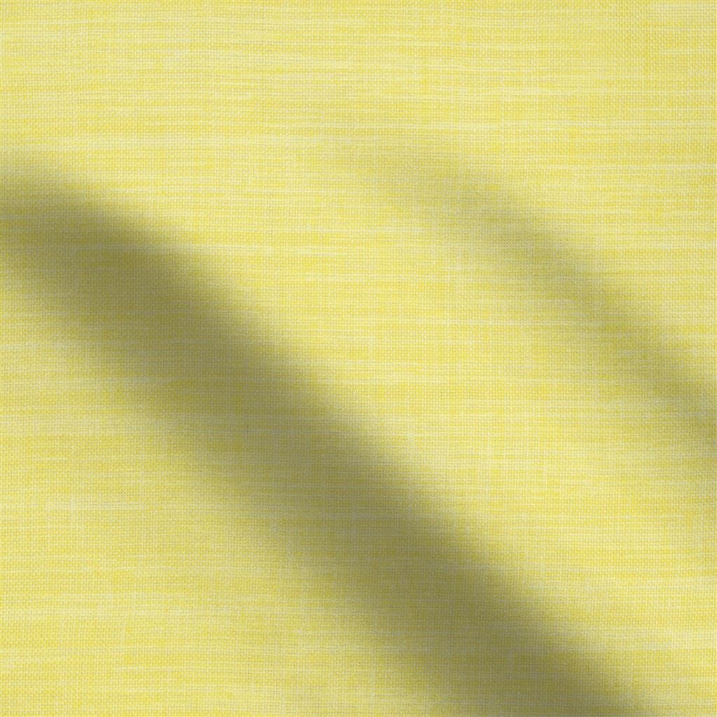cosia - primrose