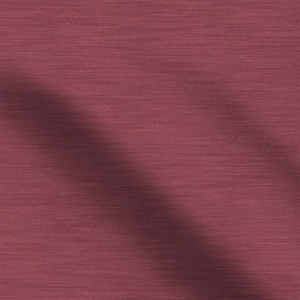 Pampas Berry