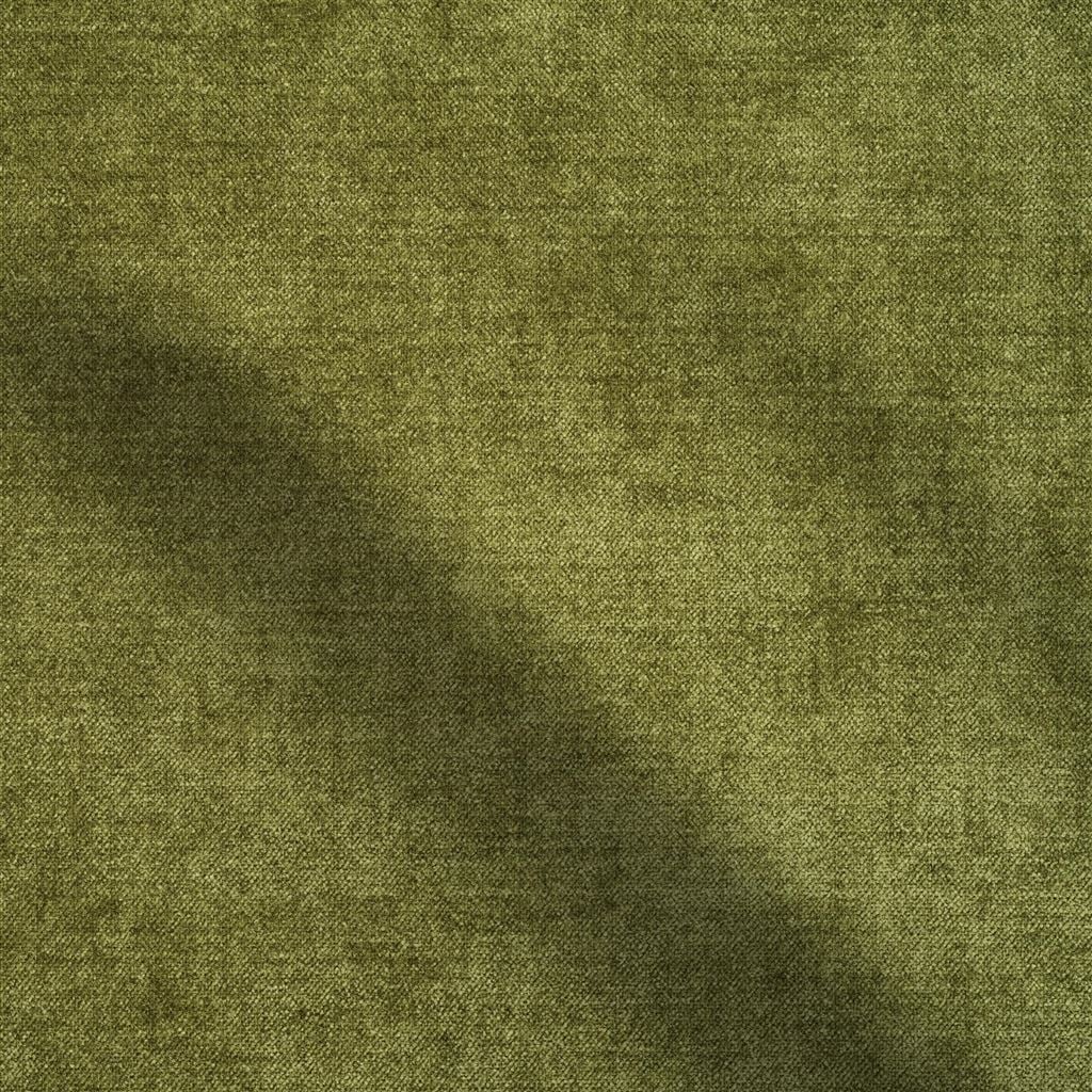 zaragoza - leaf