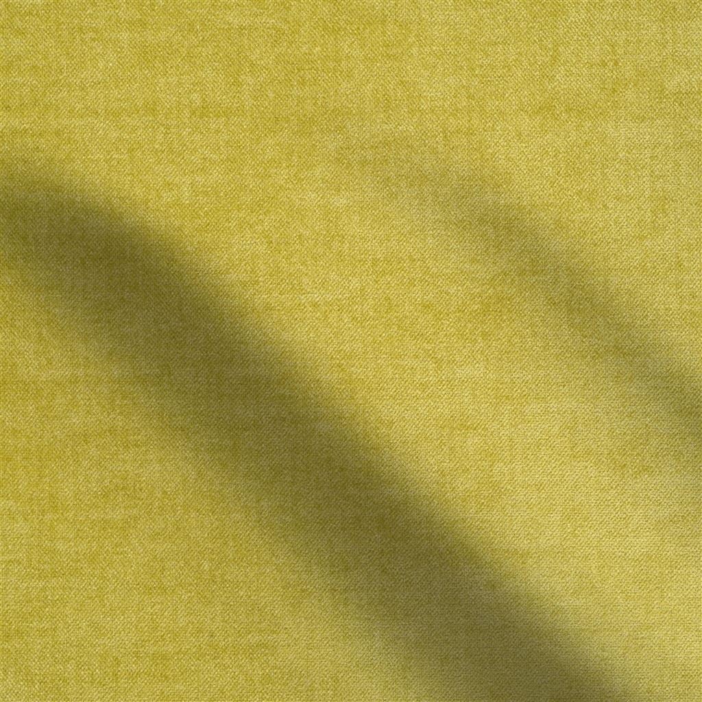 zaragoza - acacia