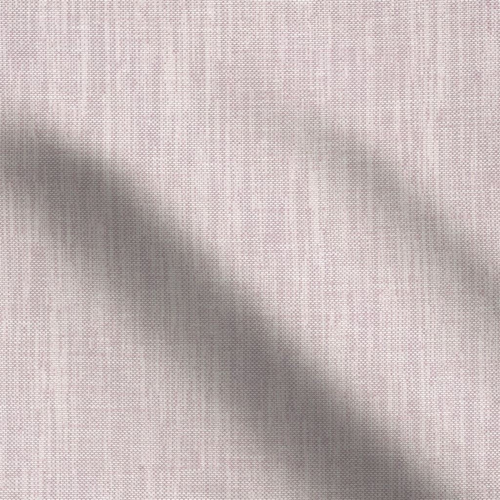 cosia - blossom