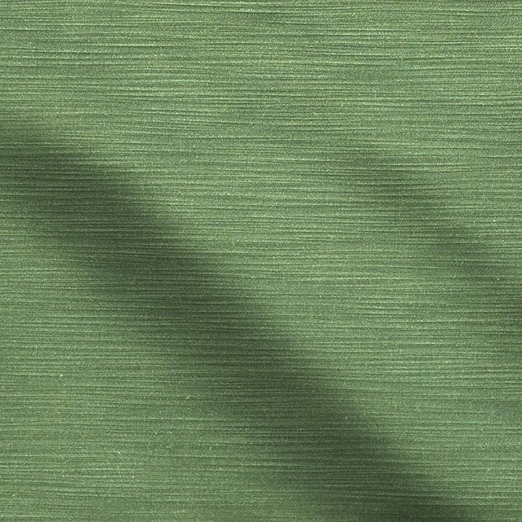 pampas - forest
