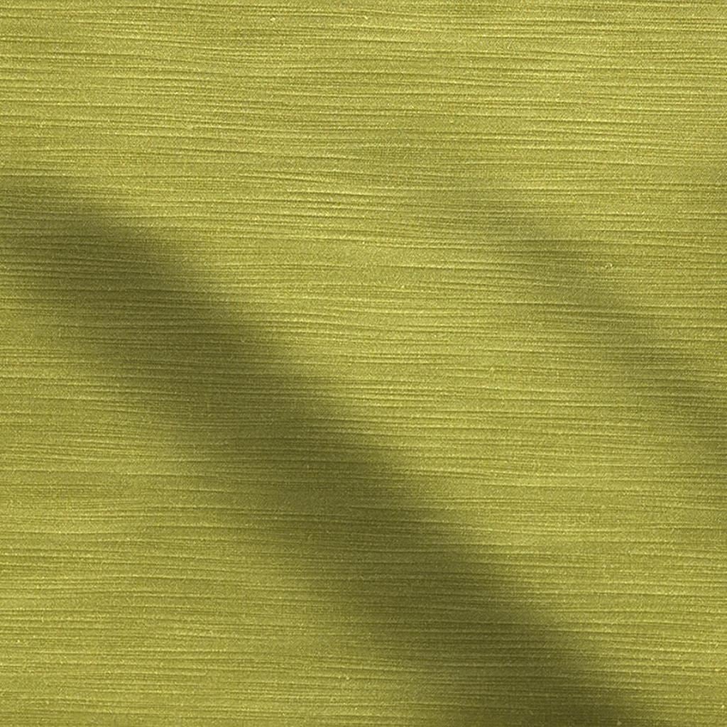 pampas - lime