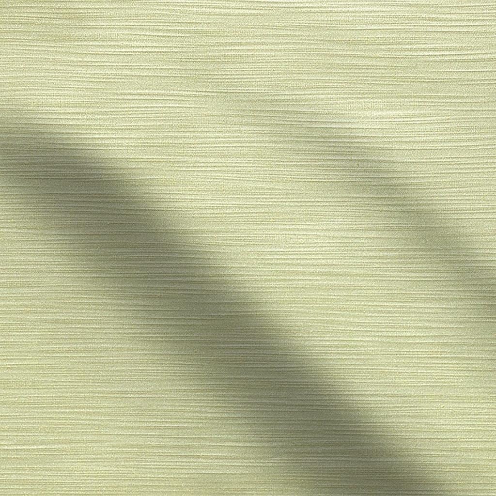 pampas - alchemilla