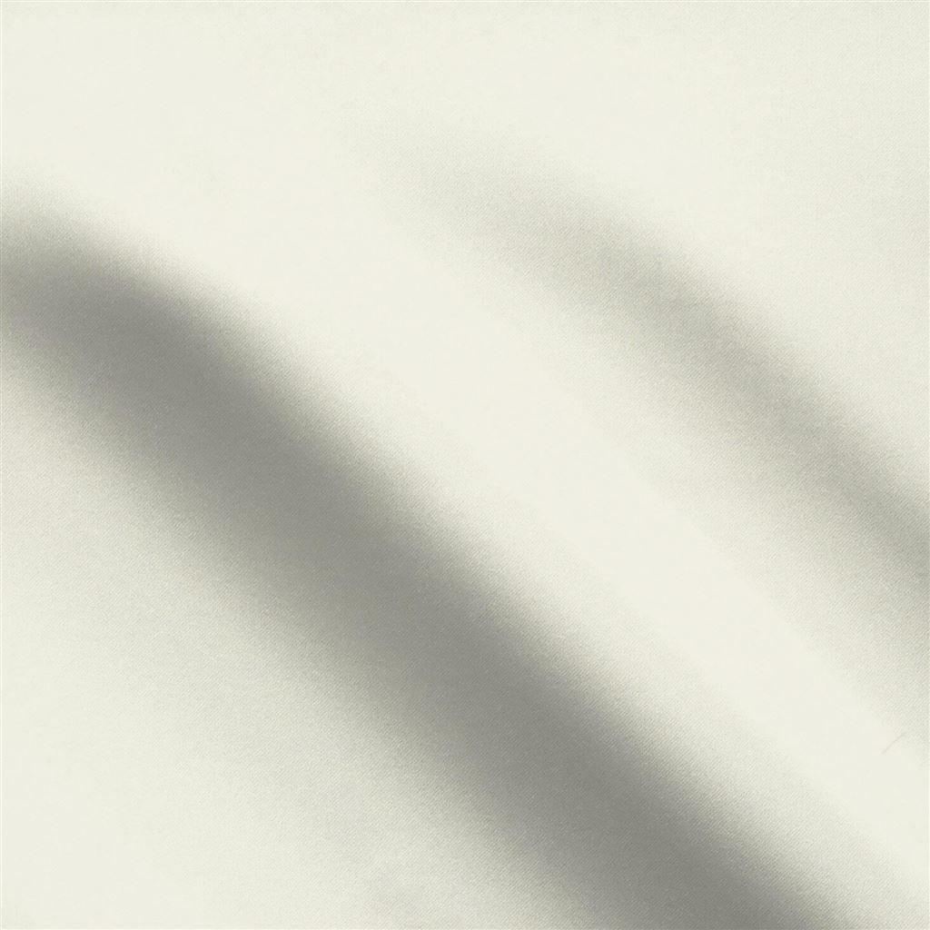 aquarelle - champagne