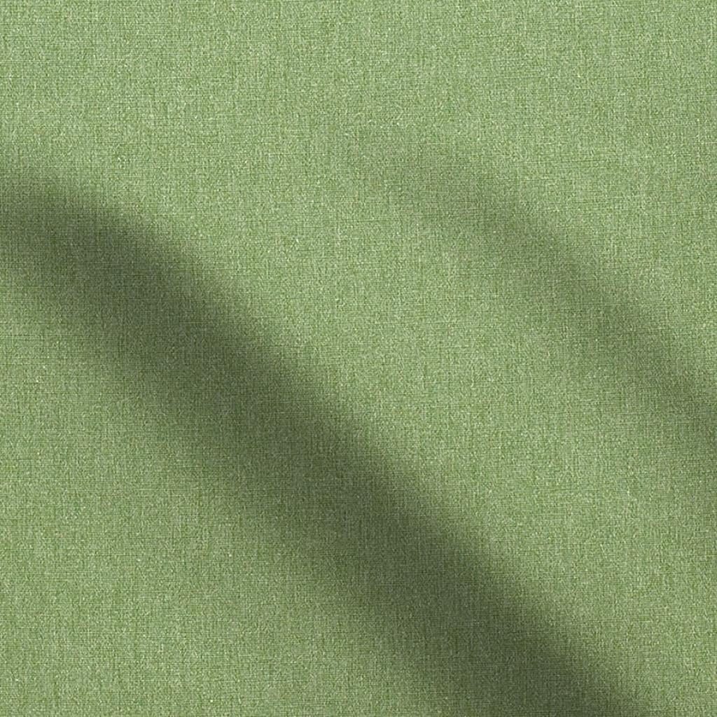 savanna - moss