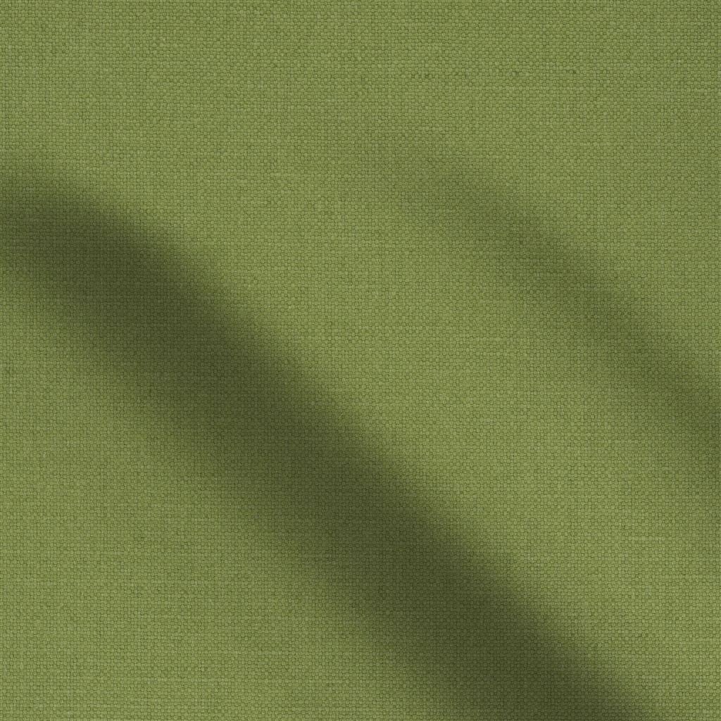 manzoni - forest