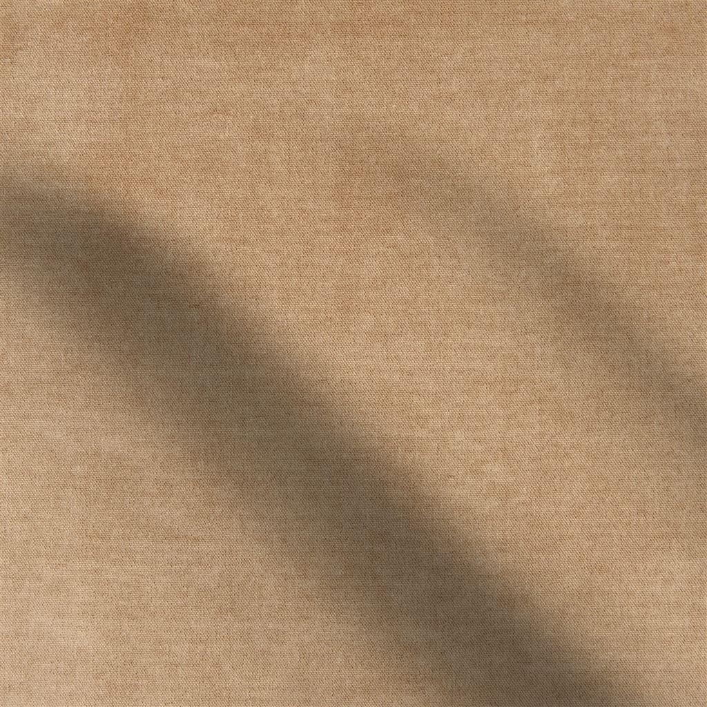 Arona - Hazel