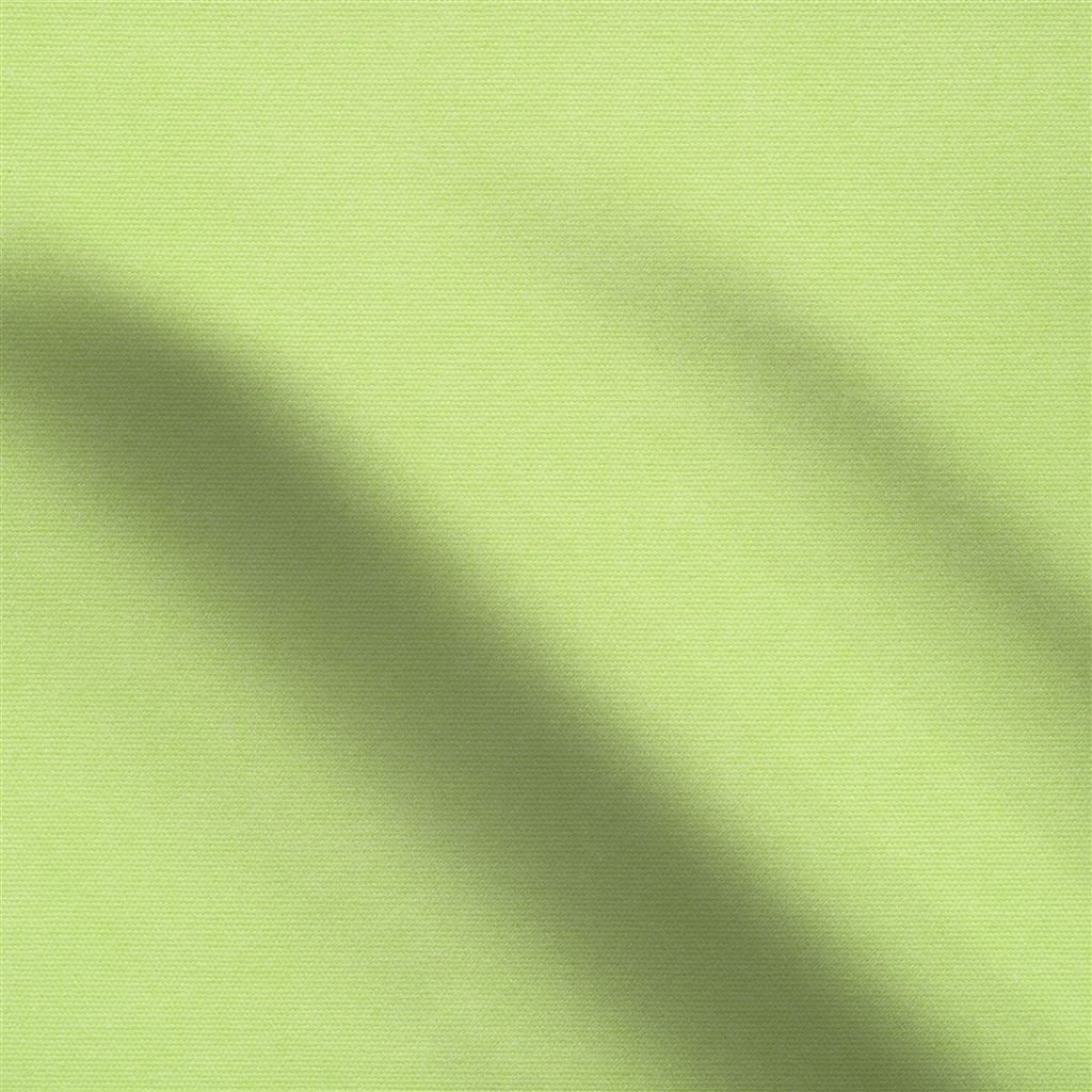 canvas - lime