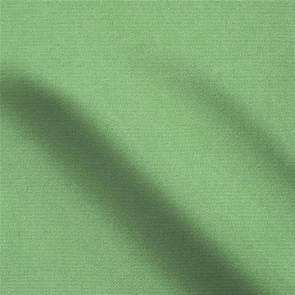canvas - absinthe