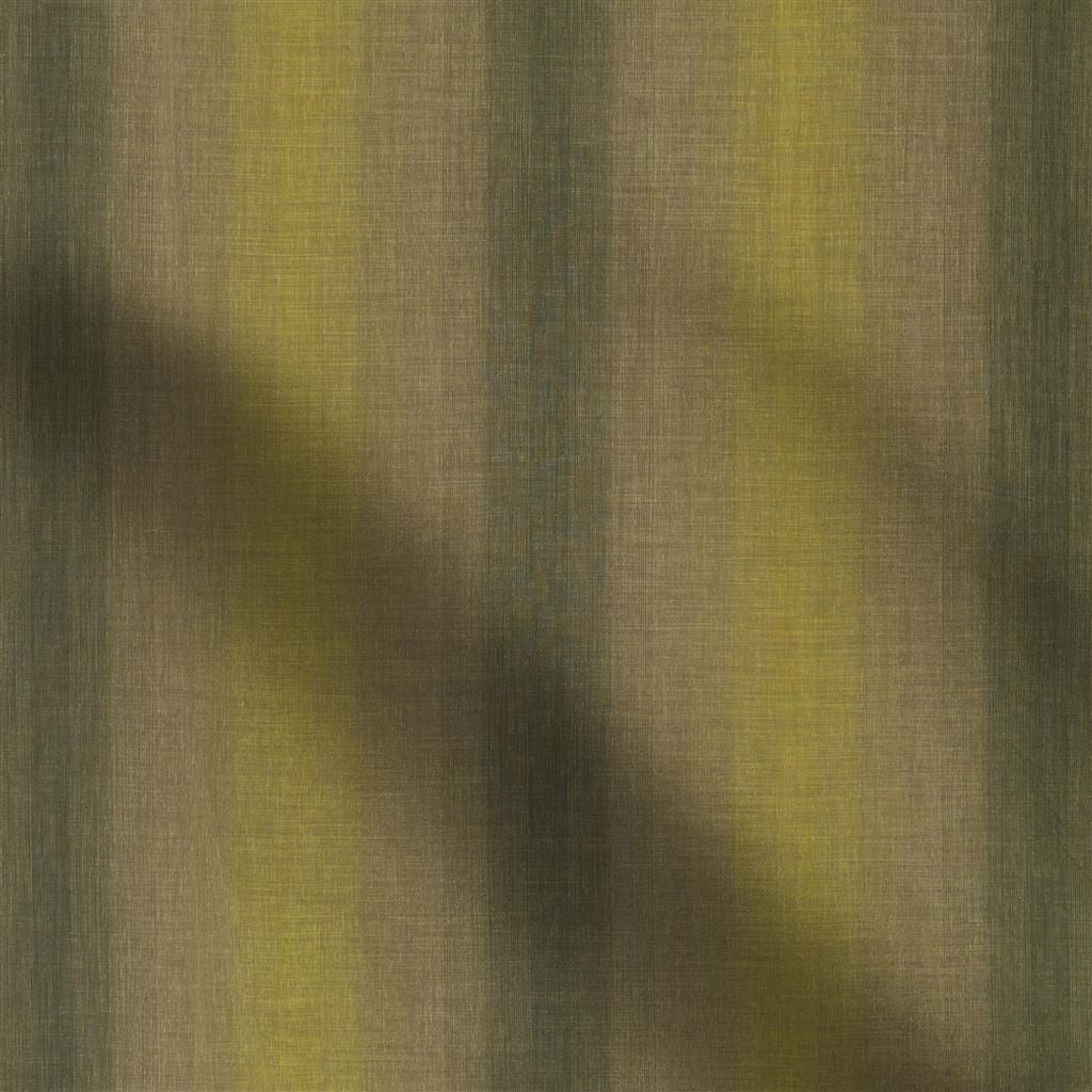 cassano - olive