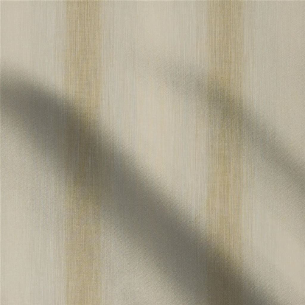 cassano - calico