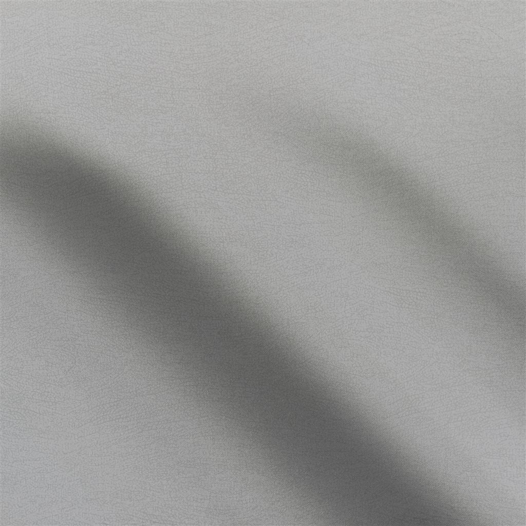 Erba - Platinum