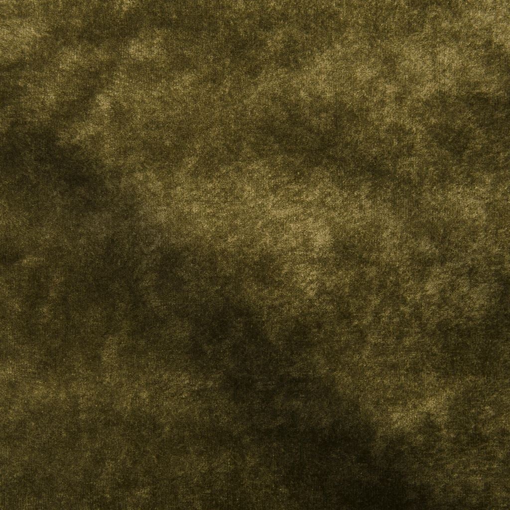 Pavia - Olive