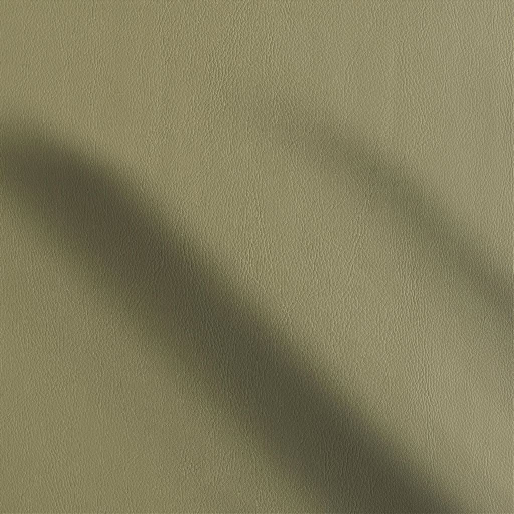 Matara Olive