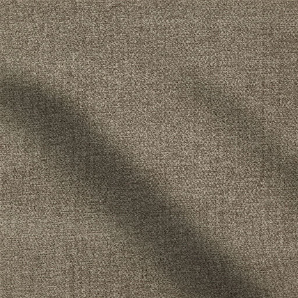Lorton Acorn
