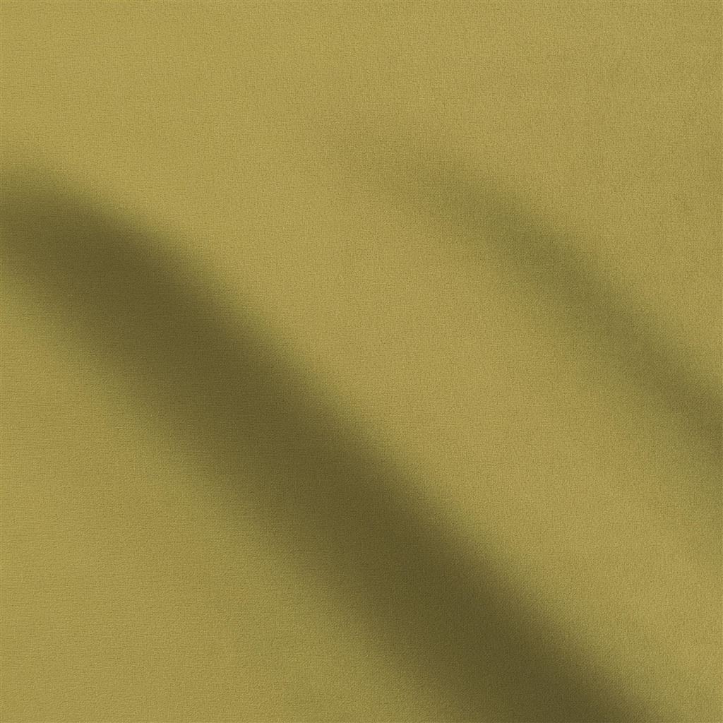 Trentino Moss