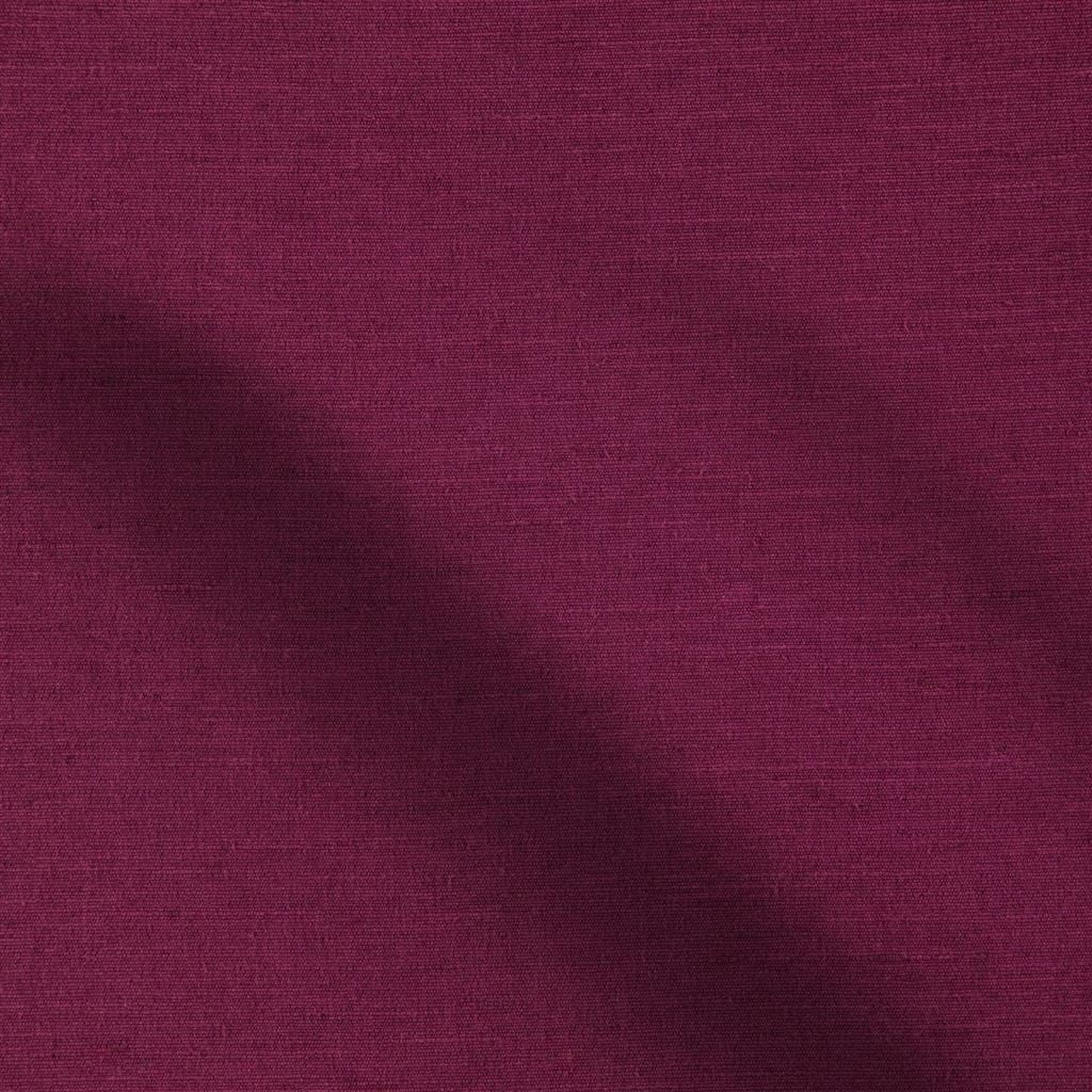 Mirissa Cassis