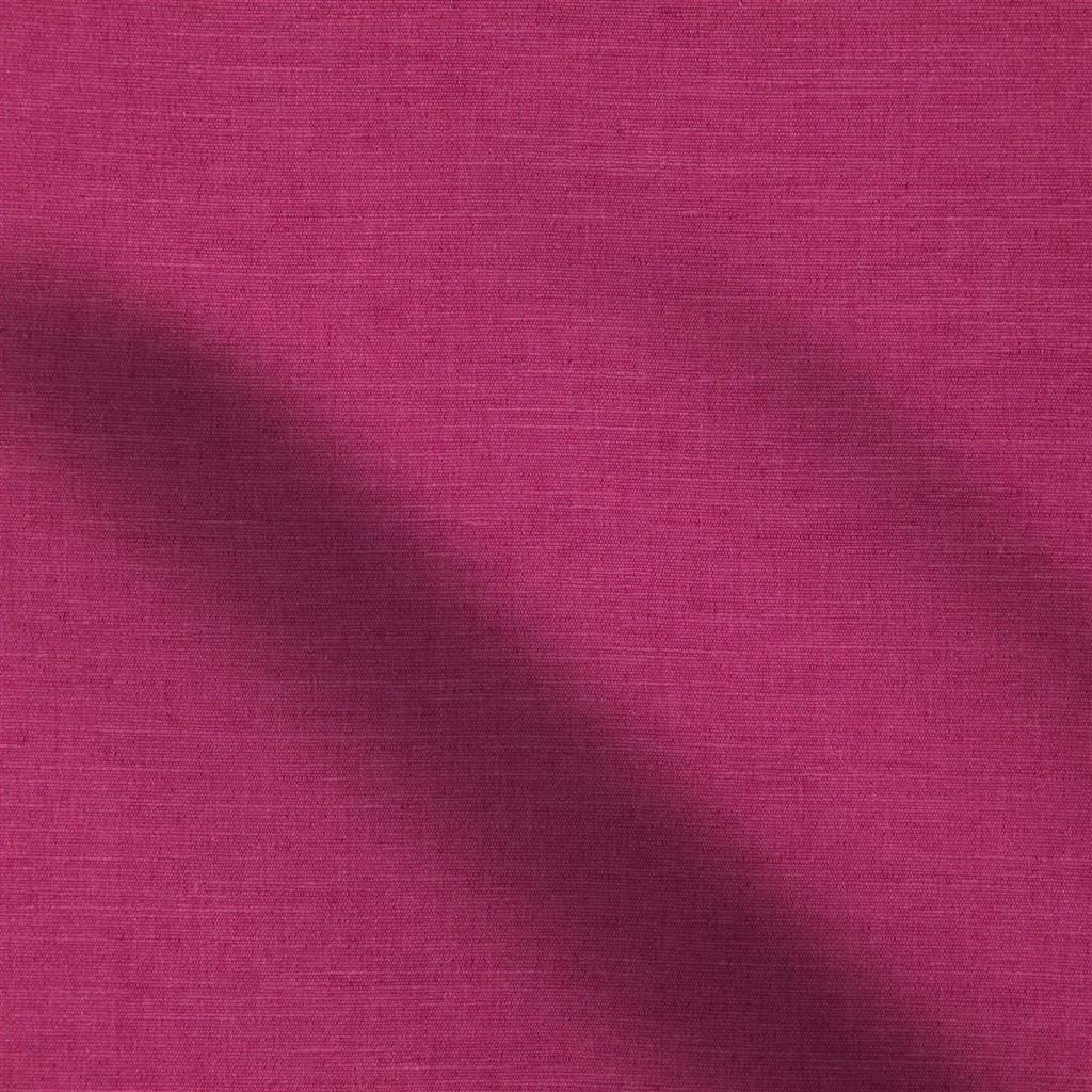 Mirissa Fuchsia