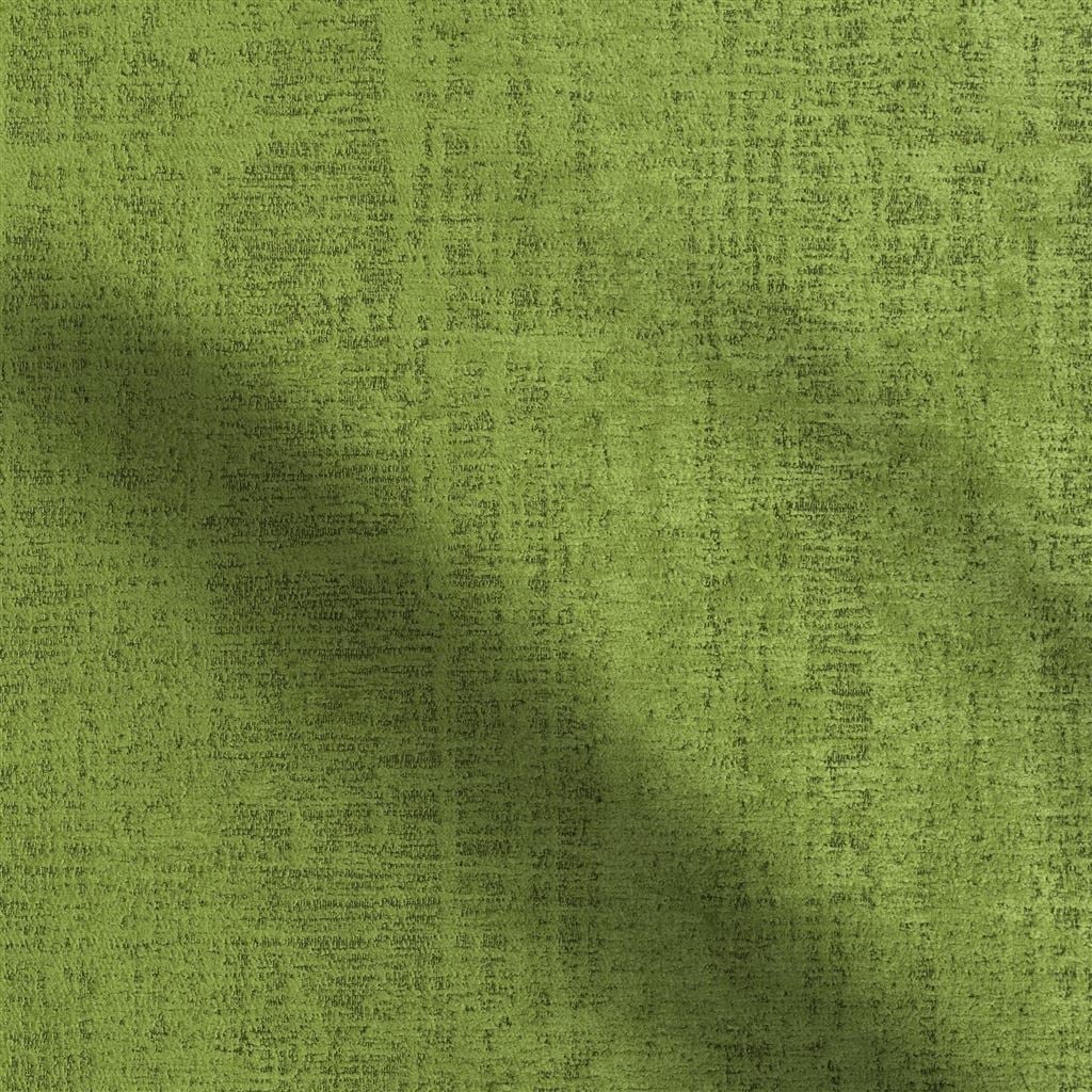 Ampara Leaf