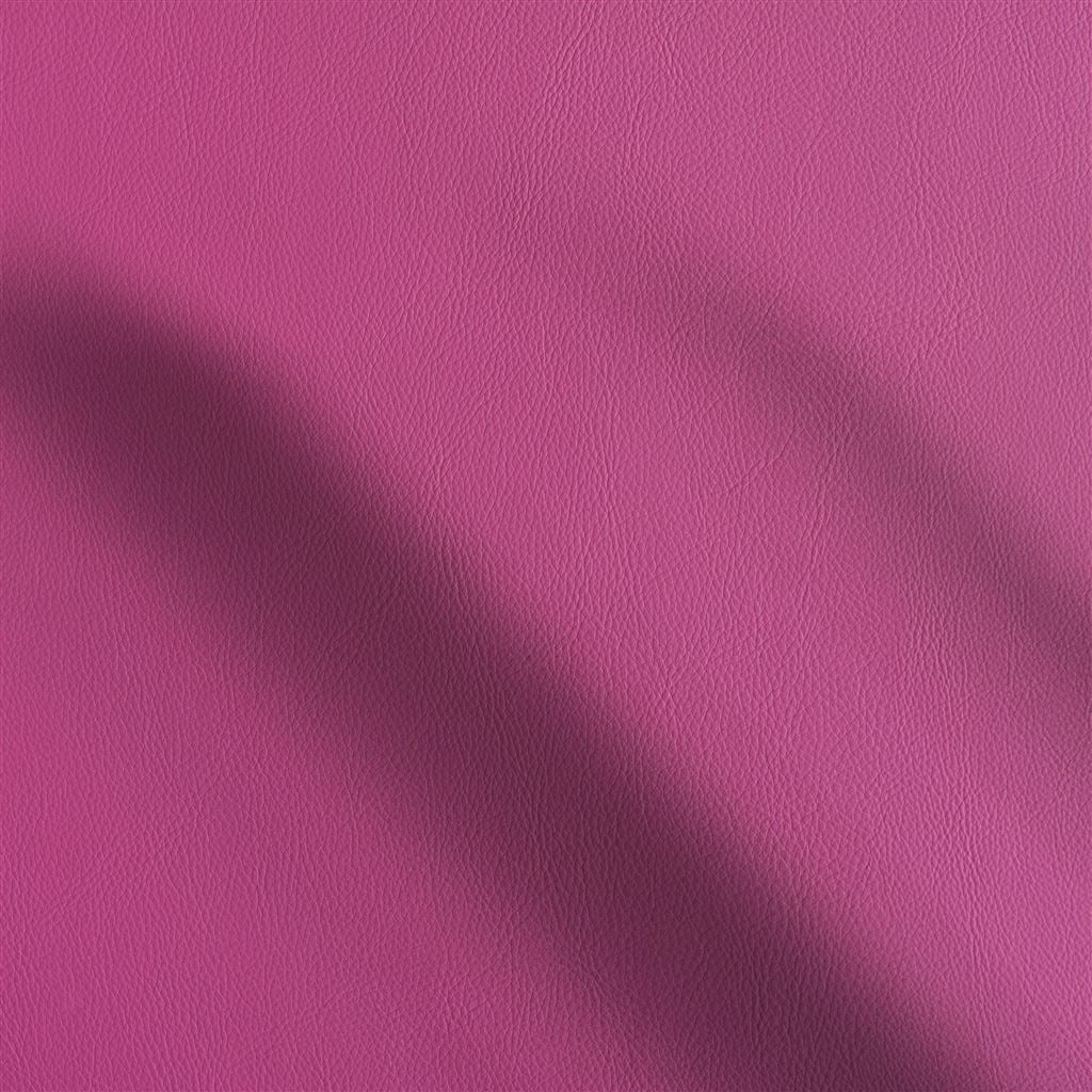Matara Fuchsia