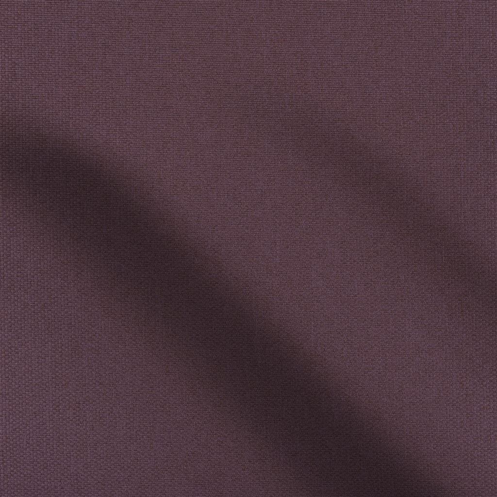 Belloni Plum