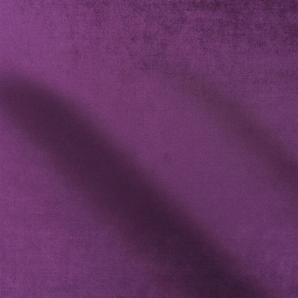 Vicenza Plum