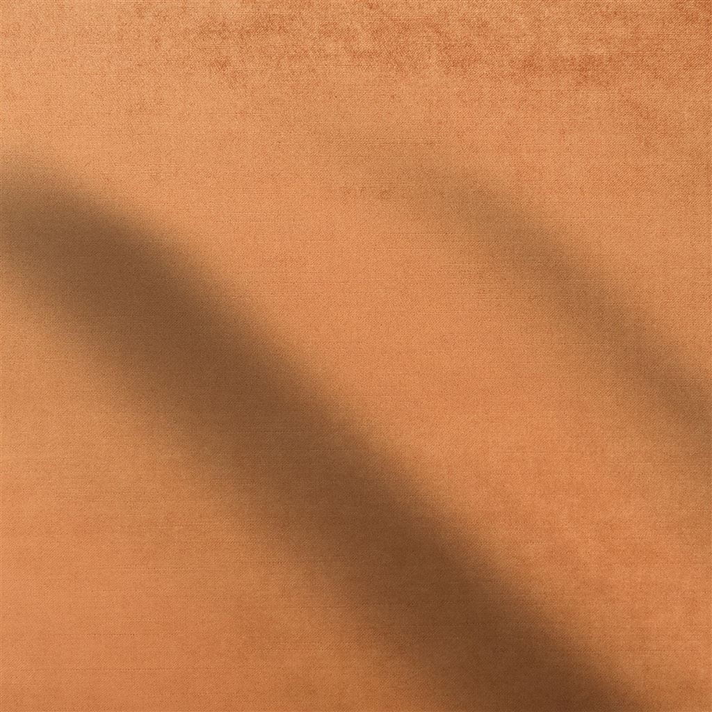 Vicenza Russet