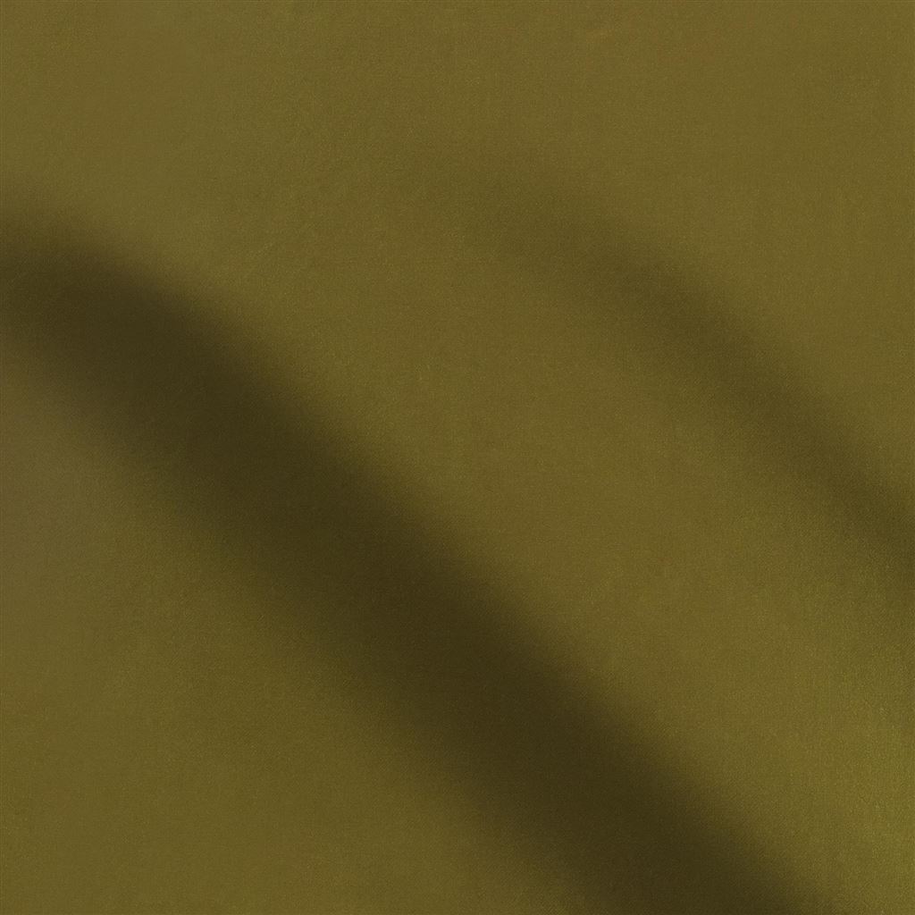 Calozzo Stretto Olive