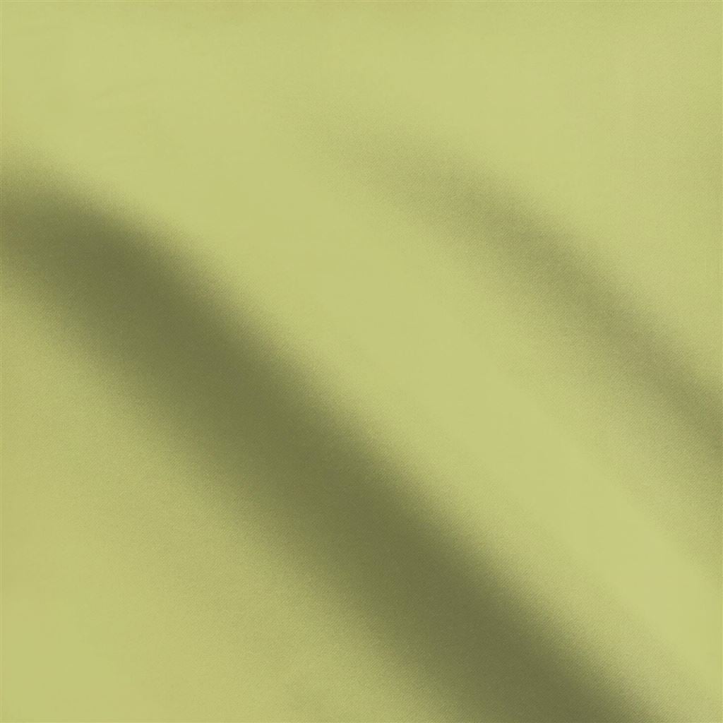Calozzo Pistachio