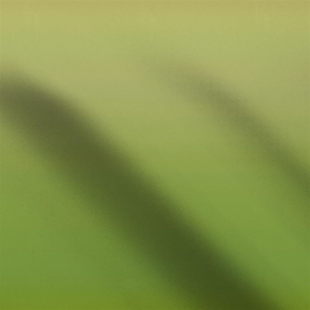 Bellavista Ombre Grass